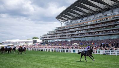 'I'm speechless' - Bedtime Story promoted to 1,000 Guineas favourite after breathtaking Chesham success