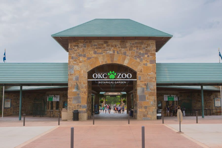 Enrollment starts for Nature Explorers Preschool at OKC Zoo