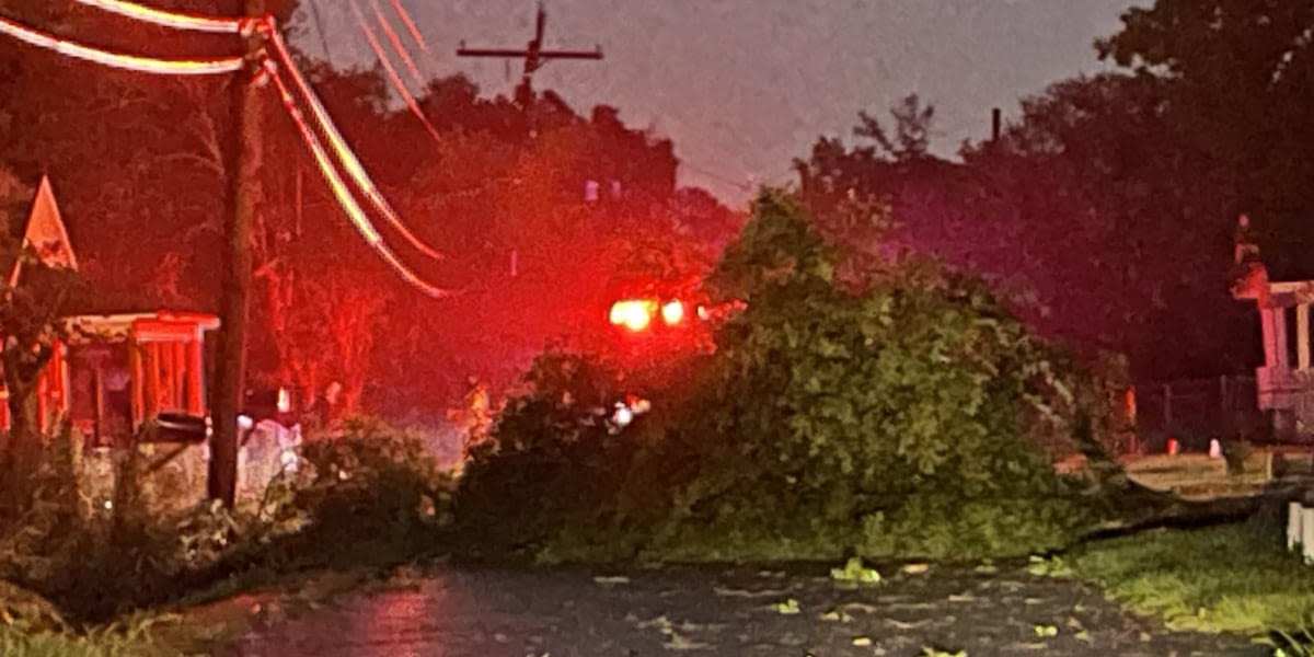 Strong storms lead to damage, widespread power outages
