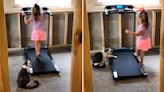 Little Girl Teaches Cat How To Use Treadmill