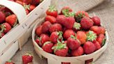 Faut-il choisir des petites ou des grosses fraises ?