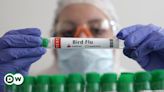 Bird flu? Swine flu? A guide to H5N1 viruses and beyond – DW – 06/18/2024