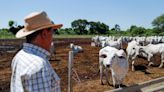Centro agrícola de Bolivia se enfrenta a la capital política por ganado y granos