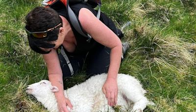 Dramatic lake rescue in Eryri reignites debate about dog owners