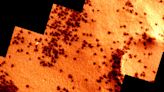 Orbiter Spots "Spiders" on Surface of Mars