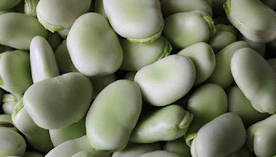 The Fava Bean Substitute You Can Use In A Pinch