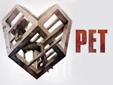 Pet (film)