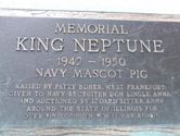 King Neptune (pig)
