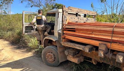 PF apreende madeira ilegal e encontra trabalhadores em condições precárias em Terra Indígena - Imirante.com