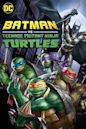 Batman VS Teenage Mutant Ninja Turtles