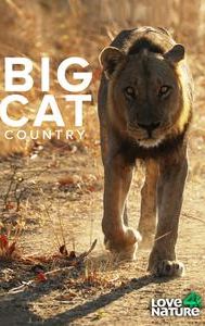 Big Cat Country