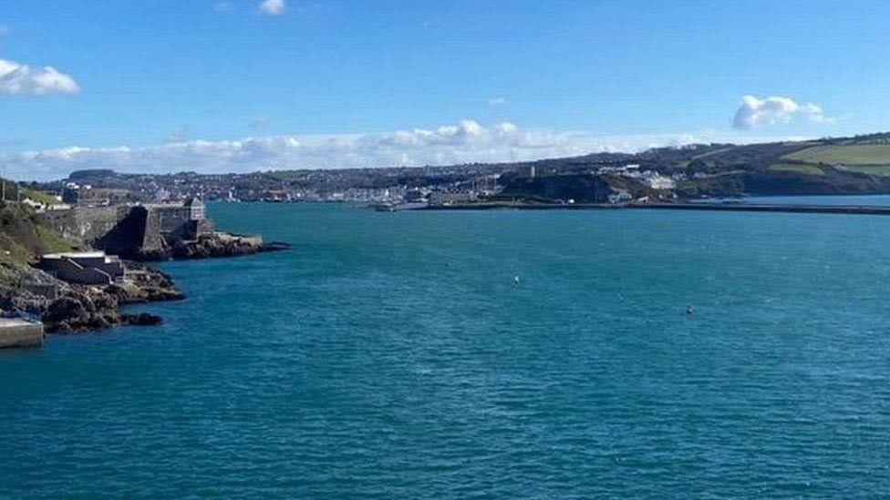 Otter spotted looking for food in Plymouth Sound