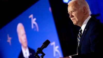 Joe Biden stung by new wave of Democratic rebels