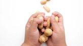 Una prueba podría predecir qué niños superarán la alergia al cacahuate con la edad