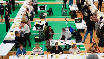 What do the election results mean for the main parties and a general election?