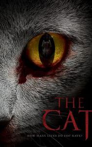 The Cat