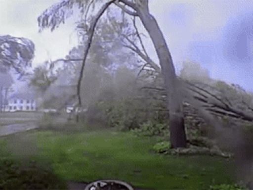 Watch: Michigan tornado flattens 'every single tree on property' in 45 seconds