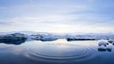 Jean-Michel Claverie: “La próxima pandemia puede venir de un virus surgido del permafrost, el suelo helado del Ártico”