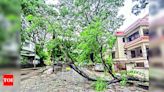 Tree Falls Across Pune City: Fire Department Responds to Over 100 Incidents | Pune News - Times of India