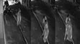 Bengaluru Man Gropes And Molests Woman During Morning Walk, Disturbing CCTV Footage Goes Viral