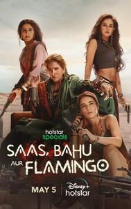 Saas, Bahu Aur Flamingo