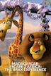 Madagascar 2