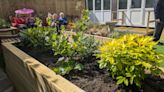 New sensory garden opens at Stoke-on-Trent community centre