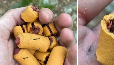 Fish hook-stuffed dog treats found on the Appalachian Trail, Pennsylvania Game Commission warns