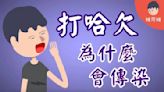 揭密：打哈欠為什麼會傳染？(圖) - 生活妙博士 -