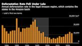 A Brazil Bond to Protect Amazon Rainforest Gains Traction Among ESG Investors