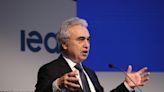 A complete Russian gas cutoff would force Europe to slash consumption by up to 30%, says IEA chief