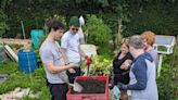 Lifesaving allotments face closure as urgent appeal launched