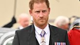 Have your say on whether Harry should give up his military medals