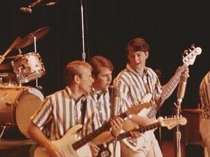 The Beach Boys movie review & film summary (2024) | Roger Ebert