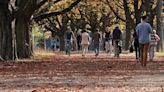 Se promener dans un parc renforce le système immunitaire et la santé mentale