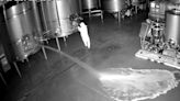Giro en el caso Cepa 21: detienen a una mujer por derramar 60.000 litros de vino