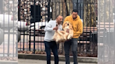 Hilarious moment golden retriever has to be carried home after running away