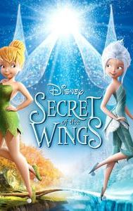 Secret of the Wings