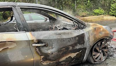 Their Nissan SUV was parked in the driveway. Then it caught fire and exploded