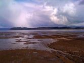 Willapa National Wildlife Refuge