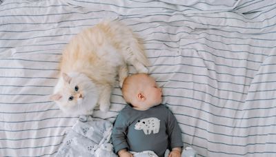 Cat's Obsession Over New Human Baby Is the Definition of Love