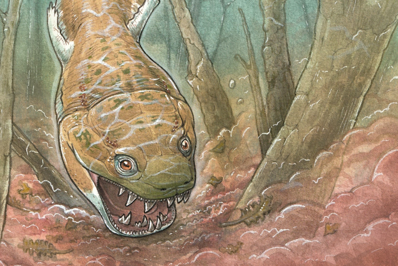 Scientists discover giant aquatic predator from a time before dinosaurs