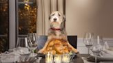 The 6 Most Dangerous Foods for Dogs This Holiday Season