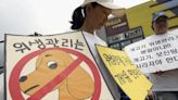 South Korea Bans Eating Dogs