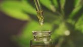 Drug tests can't tell difference between CBD and THC, putting consumers at risk