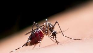 Ouch! What bit me? Atlanta ranks in top 50 mosquito-infested cities