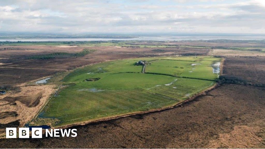 Plans to restore Solway peatland approved