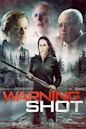 Warning Shot (2018 film)