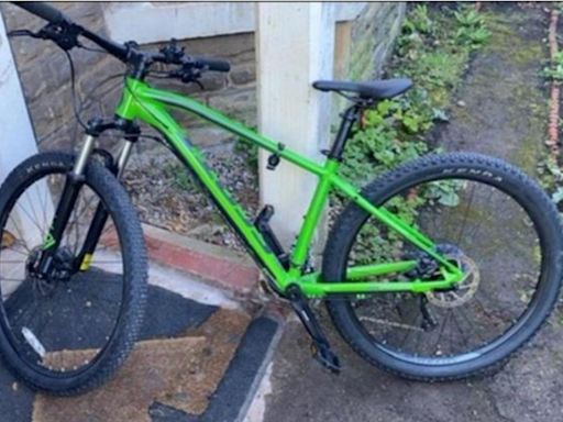 Three thieves cut and punched boy, 15, and made off with bike and a tenner