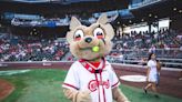 El Paso Chihuahuas seek national anthem performers